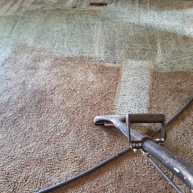 carpet_cleaning